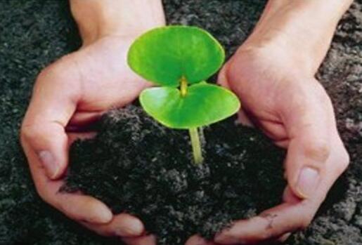 有機肥對農(nóng)業(yè)的7大貢獻